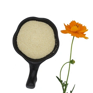 Food Grade Gelatin/Bovine Gelatin Plant